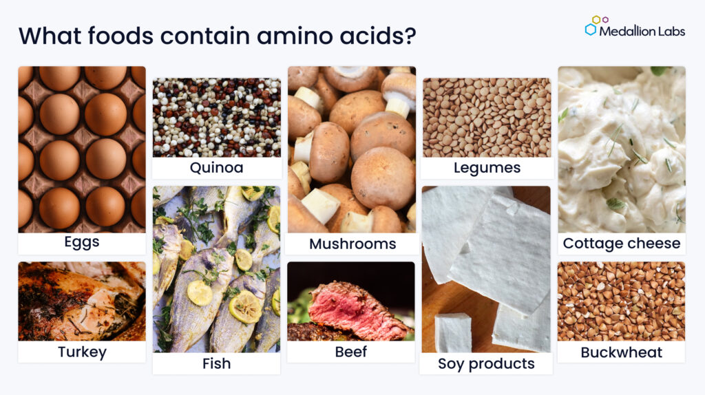 What foods contain amino acids? Eggs, Quinoa, Mushrooms, Legumes, Turkey, Fish, Beef, Soy products, etc.