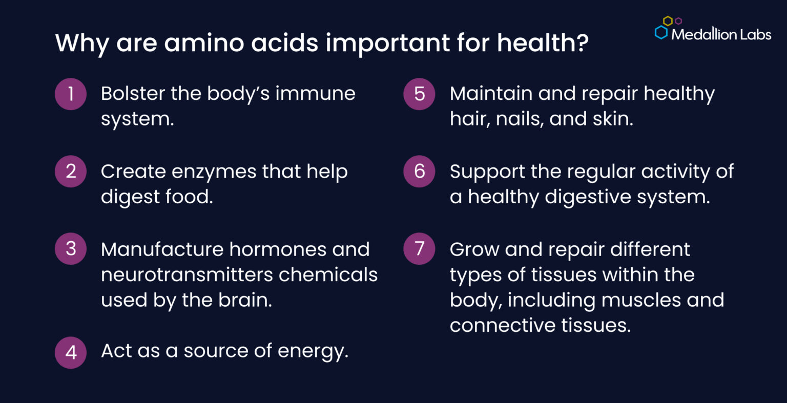 Everything food producers & brands need to know about amino acids ...